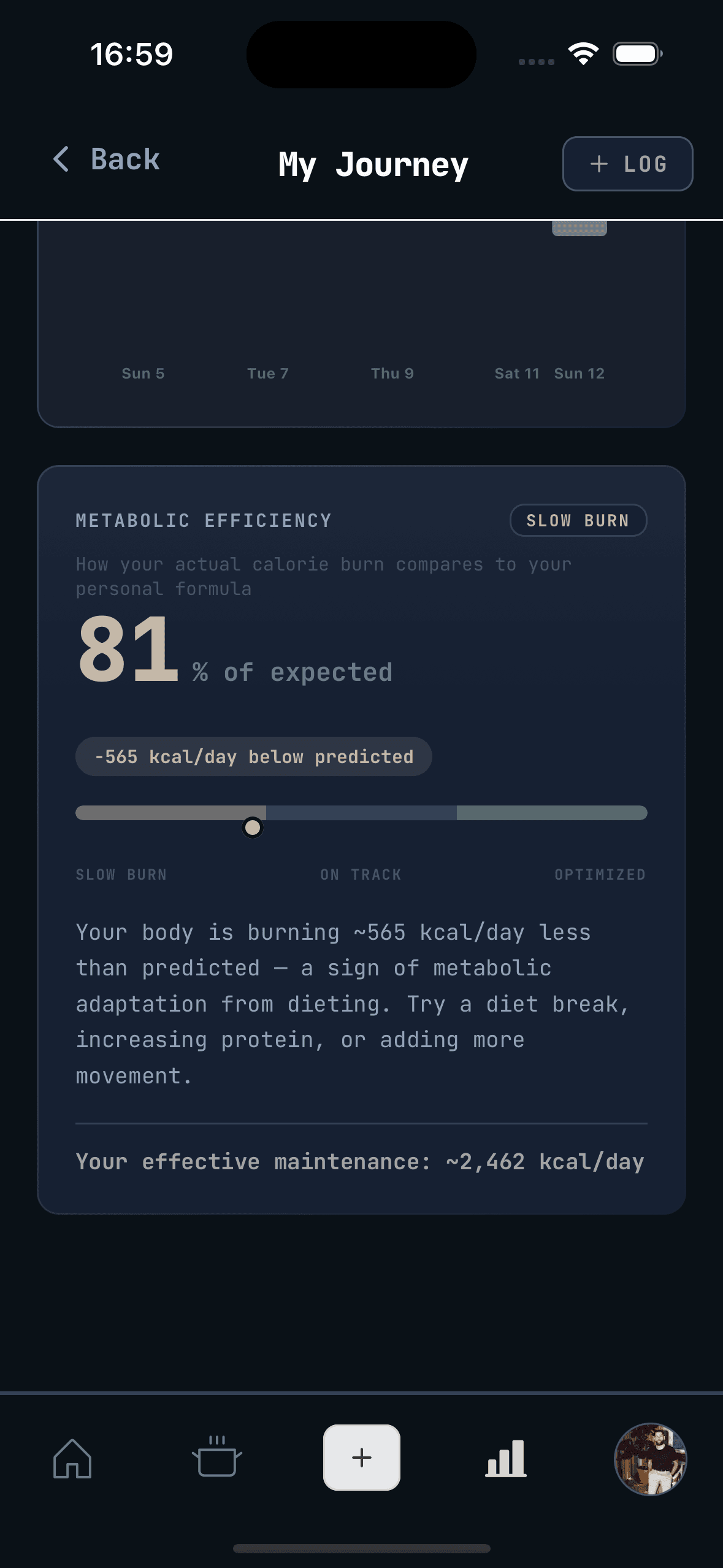 WhispCal metabolic insights showing metabolism efficiency and calorie burn analysis