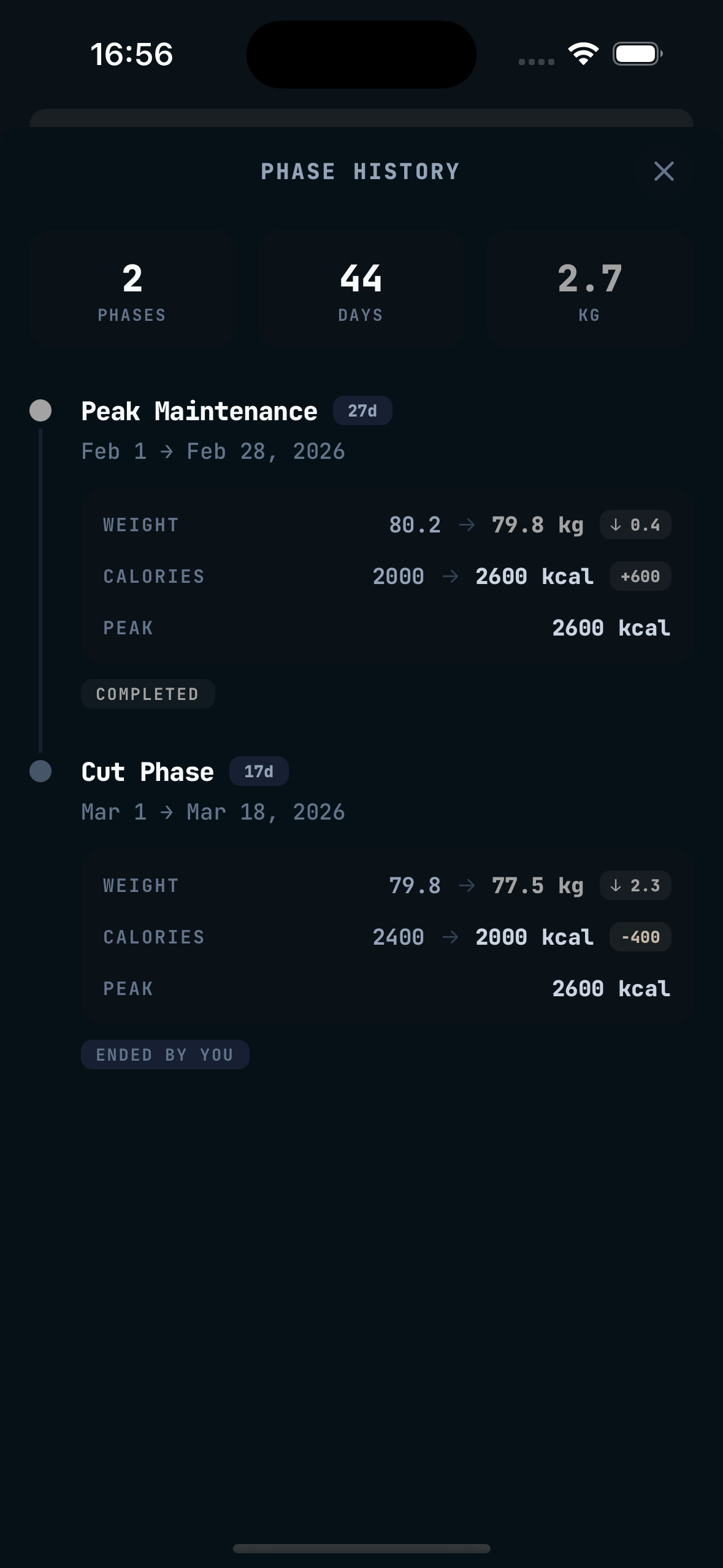 Phase history showing completed phases with real progress data